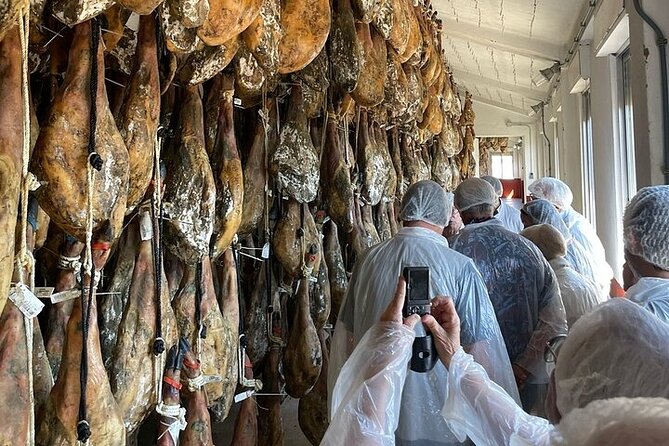 Visit to the Ham Factory in Salamanca. Tasting and Masterclass - The Iberian Flavor Experience & Gourmet Lunch Option