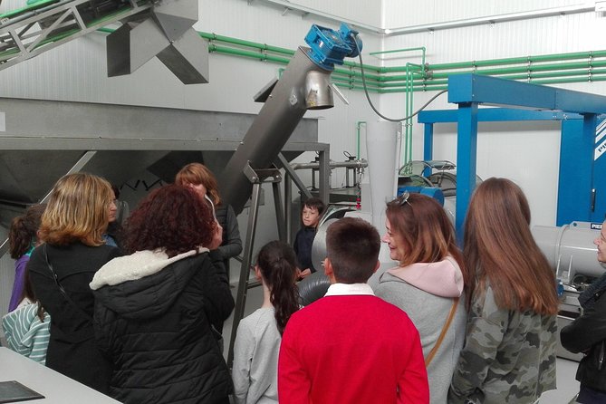 Visit to the oil mill with EVOO experiences in Cuenca - Who Will Find This Tour Most Worthwhile