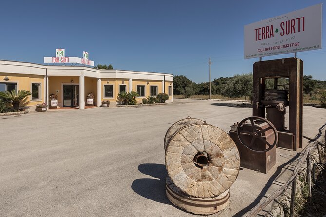 Visit to the olive grove, oil tasting and lunch at the farm - Tasting Extra Virgin Olive Oil and Local Products