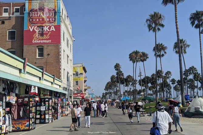 Visit Venice Beach Neighbourhood: Private 2-hour Walking Tour - Watching Skaters at Venice Skate Park