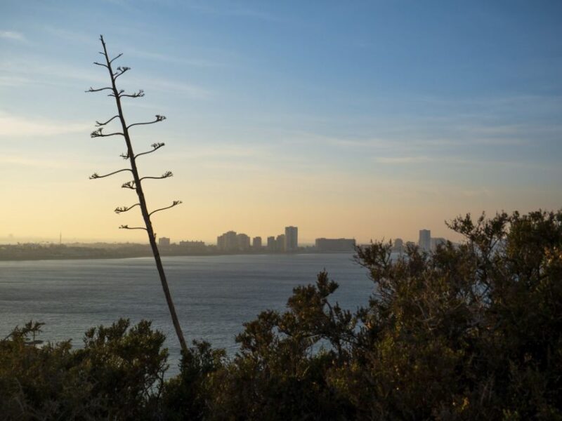 Visita al Faro de Cabo de Palos - The Tour Experience: A Perfect Short Activity
