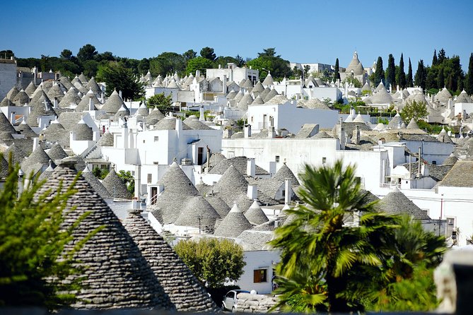 Visita guidata dei Trulli di Alberobello - Key Points