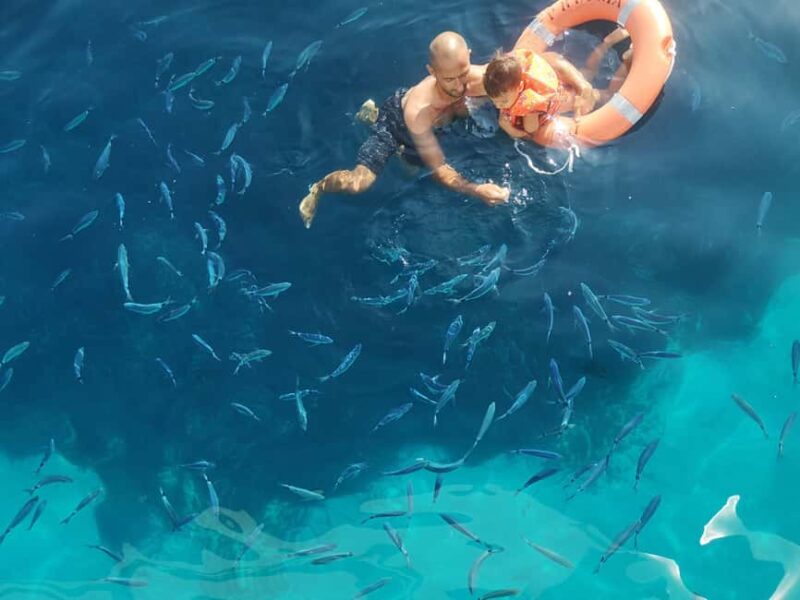 Visite en bateau avec final au COUCHER DE SOLEIL+vin Corse - The Rosé Wine Aperitif on Board