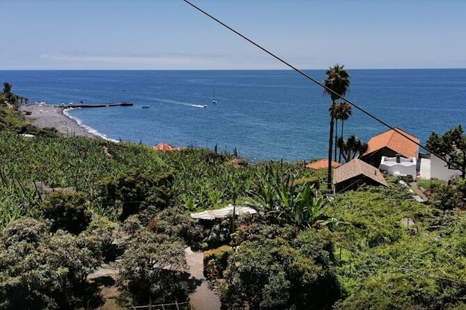 Visiting local Vineyard With Wine Tasting & Lunch included - Key Points