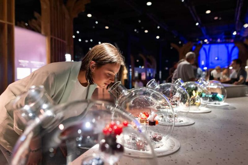 Visitor trail of the Cité in Beaune - Frequently Asked Questions