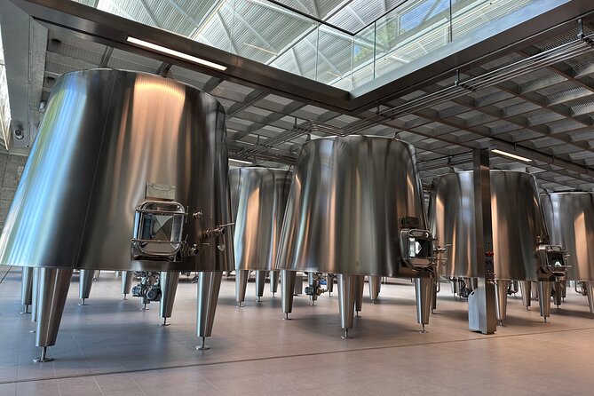 Visits and Tastings in the Médoc in Small Group with Meal - Authentic French Lunch at Café Lavinal in Bages