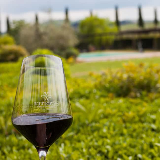 Viticcio tasting experience - Key Points