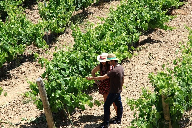 Viticulture and Wine-Tasting 3-Hour Trip from Barcelona - Tasting Award-Winning Wines with Local Snacks