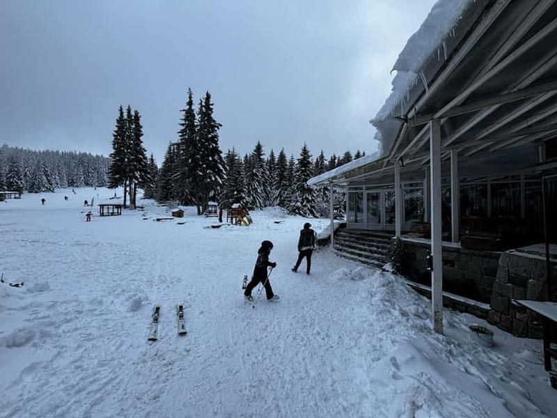 Vitosha: Ski Day Trip by Mountain Stars Ski School - Key Points