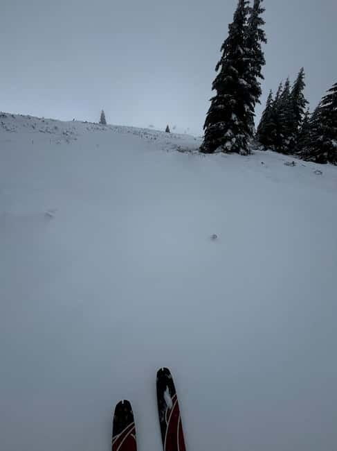 Vitosha: Ski Day Trip by Mountain Stars Ski School - Why Choose This Tour Over Other Mountain Excursions?