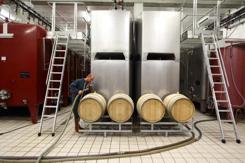 Vitteaut-Alberti: complete tasting of our Crémants de Bourgogne - Tasting the Whole Range of Crémants de Bourgogne