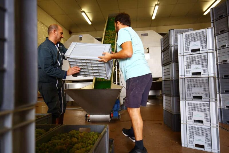 Vitteaut-Alberti: discovery tasting of 4 Crémants de Bourgogne - The Art of Making Crémant de Bourgogne: Traditional Method Explanation