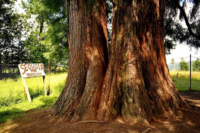 Vladeasa Peak and Bride's Waterfall Day Hike - Key Points