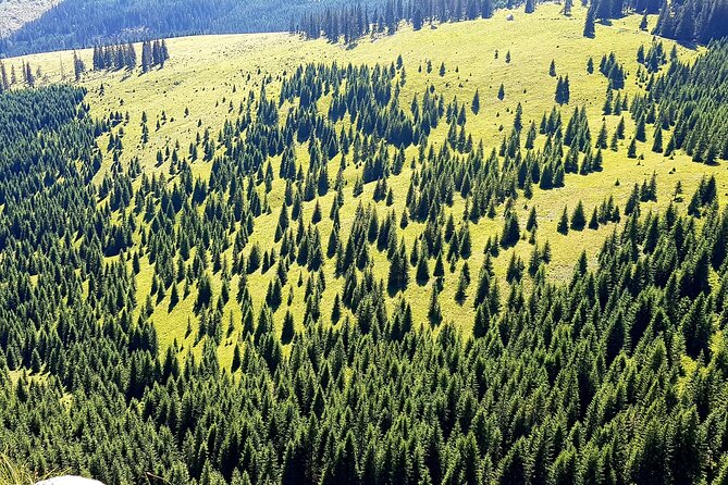 Vladeasa Peak and Bride's Waterfall Day Hike - Climbing White Rocks: An Exciting Part of the Hike