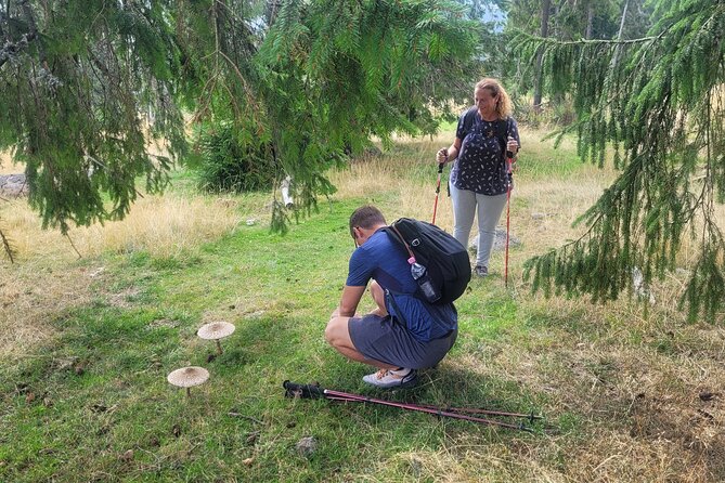 Vladeasa Peak and Bride's Waterfall Day Hike - Scenic Lunch Break with Romanian Picnic or Sandwiches
