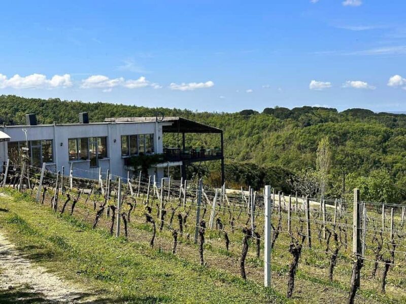 Vlora: Zvernec, Ardenica, Local Winery & Food Experience - Wine and Food Tasting at a Family-Run Albanian Winery