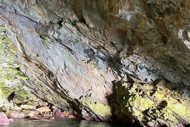 Vlore| Full Day Guided Tour to Grama Bay and Marine Park - The Marine Park: An 8-Stop Adventure