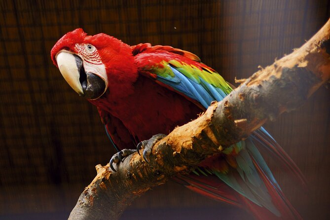 Vltava River Boat Trip and Zoo Entrance Ticket in Prague - Exploring Prague Zoo at Your Own Pace