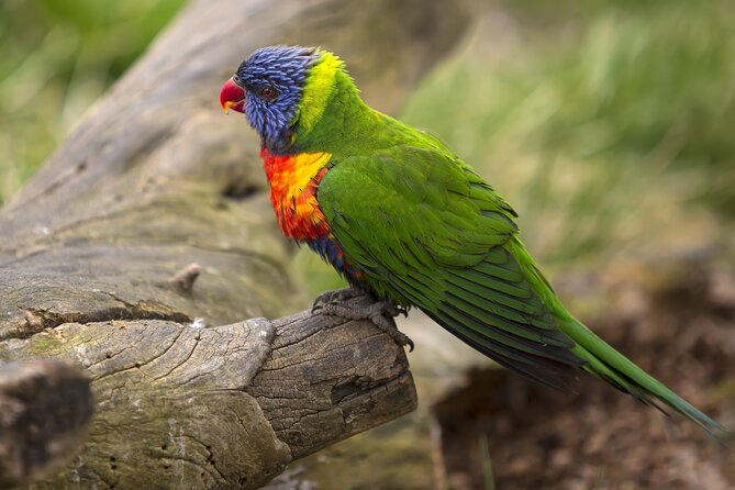 Vltava River Boat Trip and Zoo Entrance Ticket in Prague - Commentary and Guide Interactions: Varying Experiences