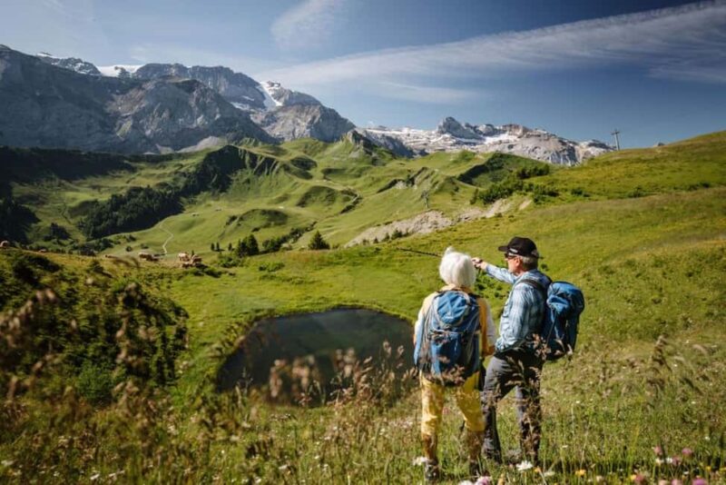 Vogellisi Mountain: Easy Panoramic Flower Trail Hike - Scenic Ride Up the Mountain by Cable Car