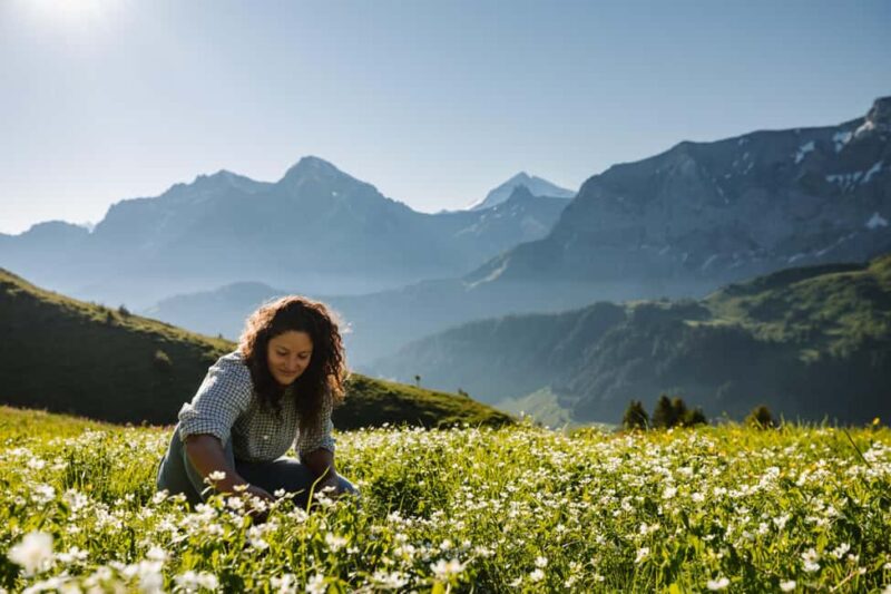 Vogellisi Mountain: Easy Panoramic Flower Trail Hike - Educational Highlights of the Flower Trail