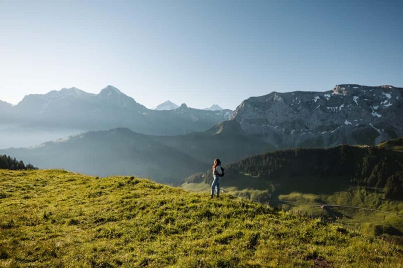 Vogellisi Mountain: Easy Panoramic Flower Trail Hike - Convenient Meeting Point and Ticket Inclusion