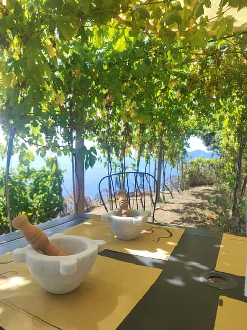 Volastra: BarCa Wine Tasting in Cinque Terre and Pesto Class - Visiting the BarCa Winery in Cinque Terre