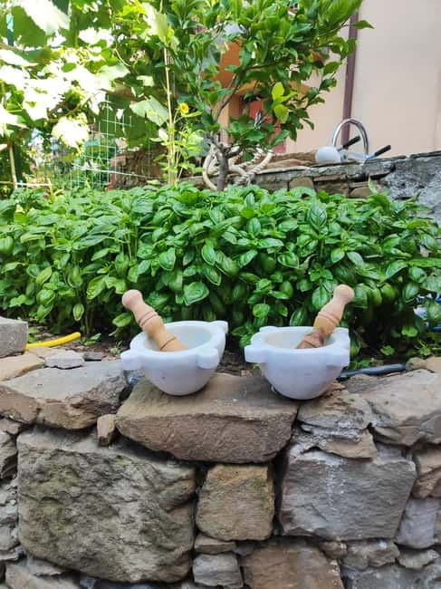 Volastra: BarCa Wine Tasting in Cinque Terre and Pesto Class - Pesto-Making Workshop in a Picturesque Setting