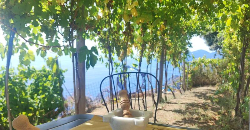 Volastra: BarCa Wine Tasting in Cinque Terre and Pesto Class - Logistics and Practical Details