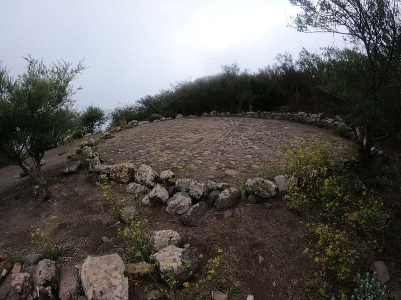 Volcanes, Viñedos y Laurisilva  Santiago del Teide - Key Points