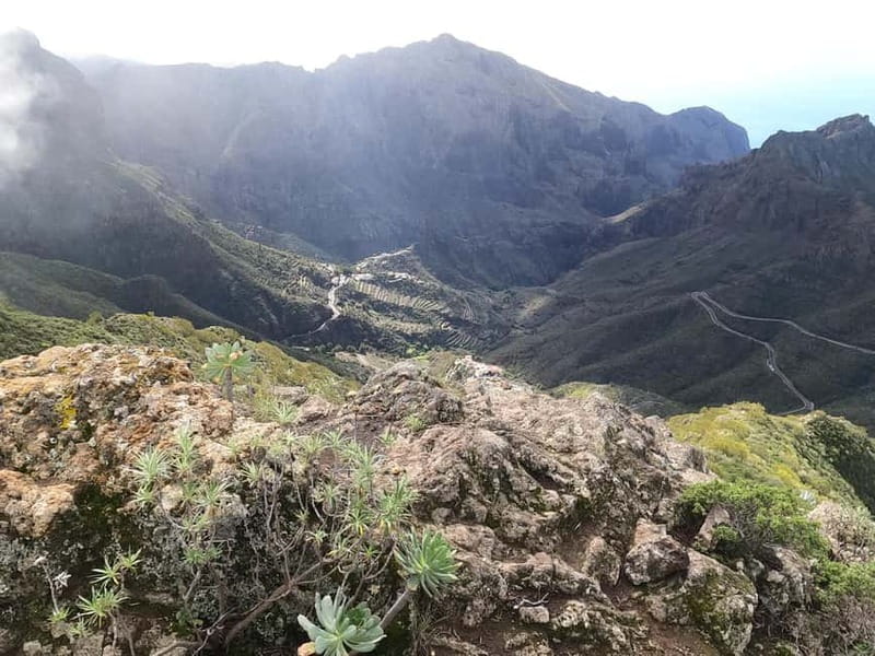 Volcanes, Viñedos y Laurisilva  Santiago del Teide - Physical Requirements and Suitability
