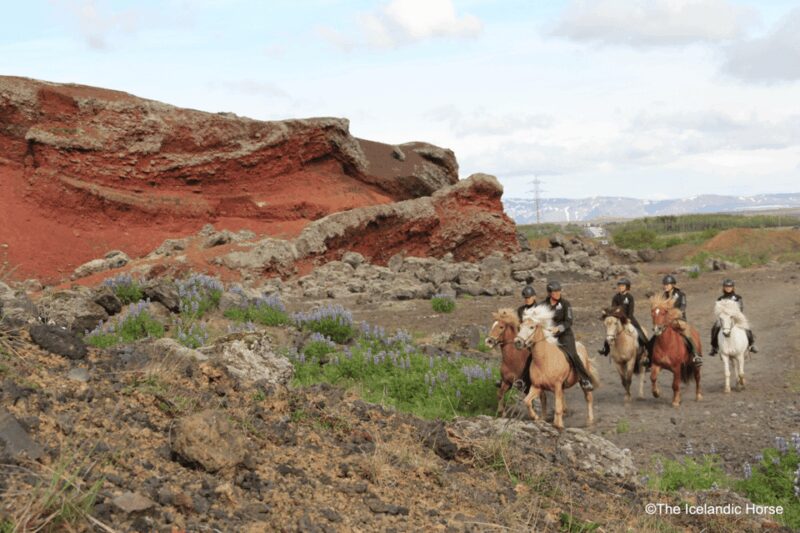 Volcanic Landscape Iceland Horse Riding Tours - The Unique Icelandic Horse and Its Special Gait