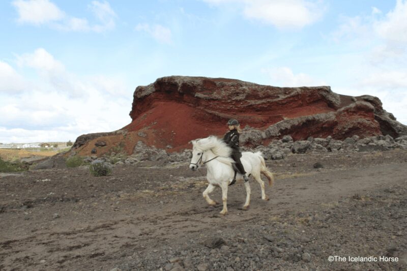 Volcanic Landscape Iceland Horse Riding Tours - Suitable for All Riding Levels and Families