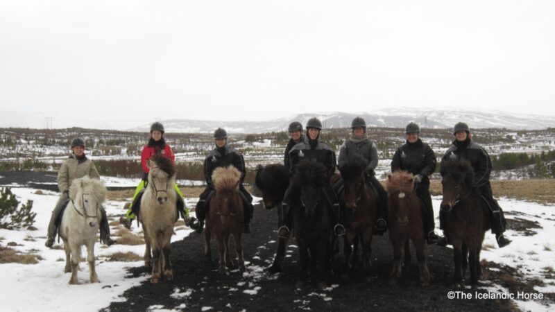 Volcanic Landscape Iceland Horse Riding Tours - Weather and Safety Considerations