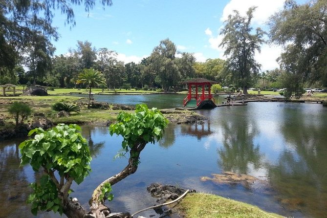 Volcano Adventure Tour & Waterfall - Shore Excursion from Hilo Harbor - Considerations from Guest Feedback
