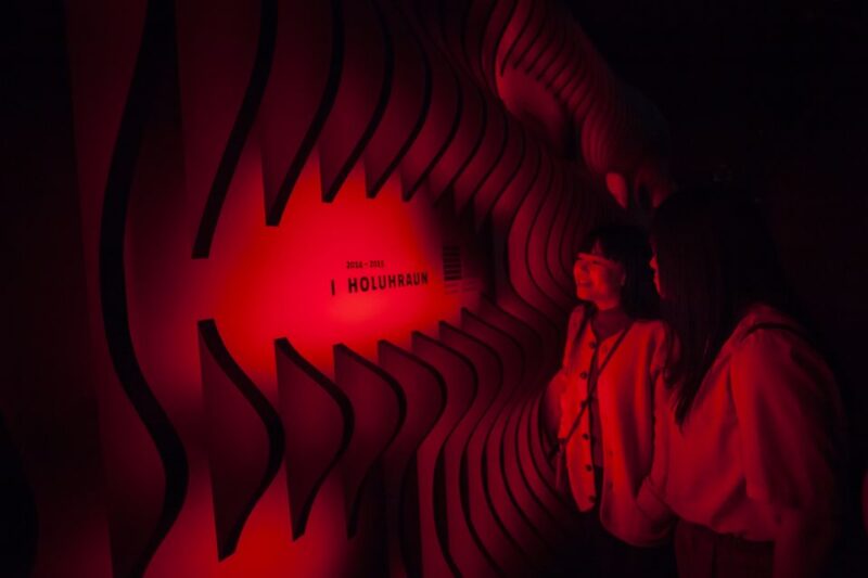 Volcano Exhibition and Cinema - Lava Centre Iceland - Practical Information: Accessibility, Support, and Amenities