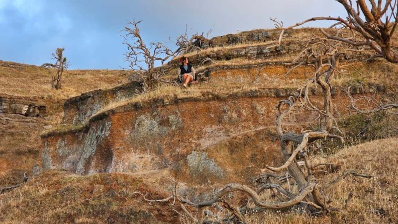 Volcano Island: Trekking among Volcanic Caves and Landscapes - What Sets This Tour Apart from Other Vulcano Excursions