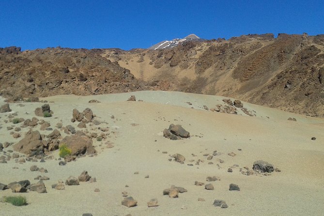 Volcano & Mt Teide Private Tour in Tenerife - Flexibility and Booking Details