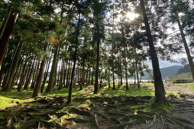 Volcano of Fogo and Furnas Private Tour - The Caldeira Velha Environmental Interpretation Center