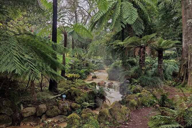 Volcano of Fogo and Furnas Private Tour - Lagoa das Furnas and the Fumarolic Field