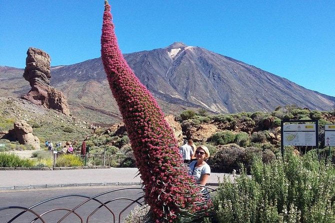Volcano Teide - Masca ravine. Guided Tour from Puerto de la Cruz - Tenerife - What Makes This Tour Stand Out
