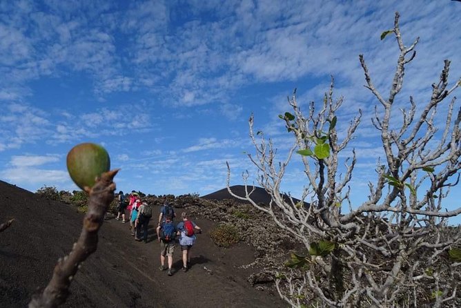 Volcano Trekking Tour (Timanfaya eruptions) - Exploring the Volcanic Craters and Lava Fields Up Close
