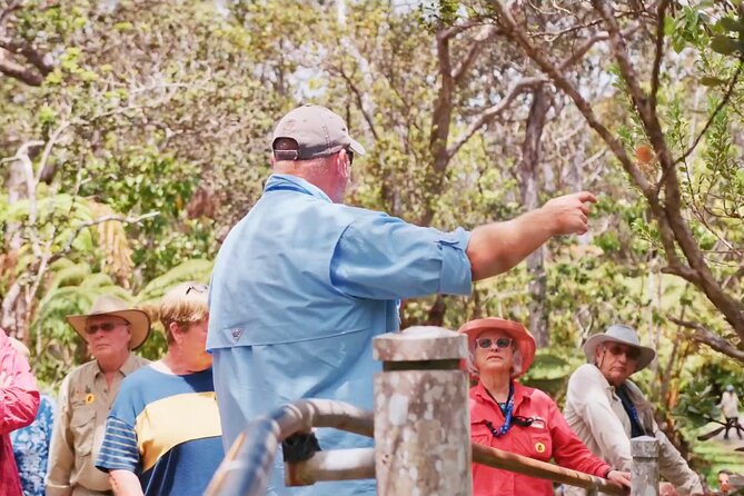 Volcanoes, Beaches and Waterfall Highlights Private Guided Tour - Visiting Akaka Falls and Rainbow Falls