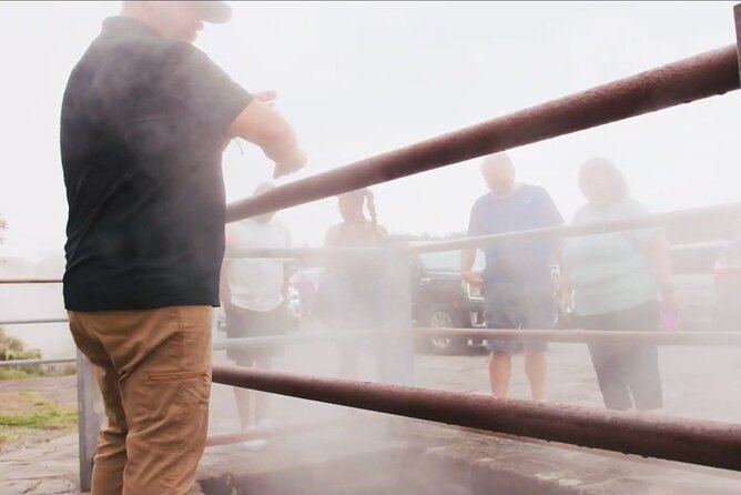 Volcanoes, Beaches and Waterfall Highlights Private Guided Tour - Visiting Kauai Coffee Company