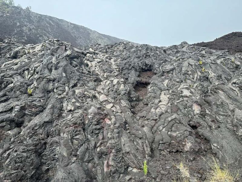 Volcanoes National Park Adventure - Exploring the Vegetation and Saddle Road Scenic Drive