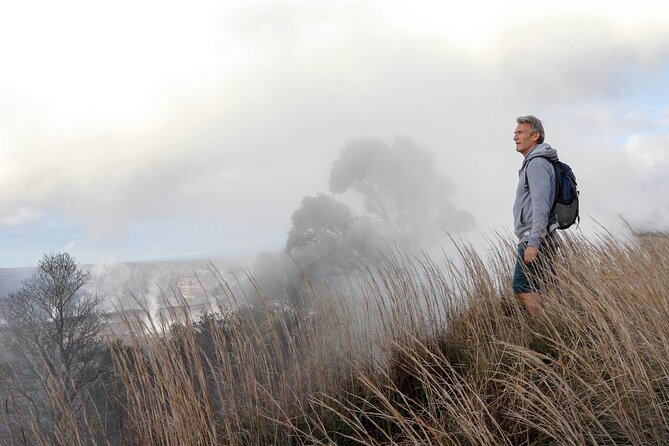 Volcanoes National Park: Guided, Small-Group Hike - The Native Hawaiian Forest and Scenic Views