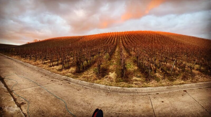 Volkach/Fahr: Wine Spirit Rebellion wine hike - Why This Tour Appeals to Wine and History Enthusiasts