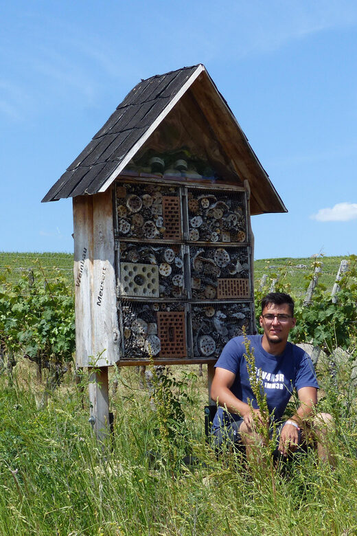 Volkach/Fahr: Wine Spirit Rebellion wine hike - Final Thoughts on the Wine Spirit Rebellion Tour