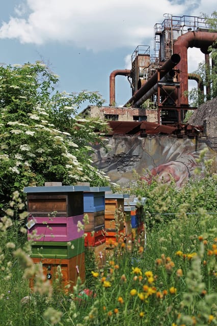 Völklingen: Völklingen Ironworks World Heritage Site Ticket - Exploring the Sites Halls and Machinery