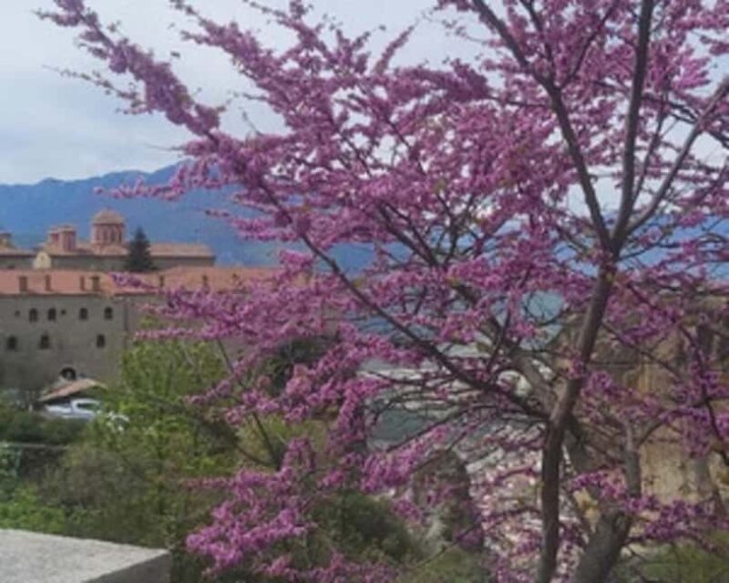 Volos: Meteora Monasteries, Trikala & Mushroom Museum Tour - Discover the Meteora Monasteries, Trikala & Mushroom Museum Tour from Volos